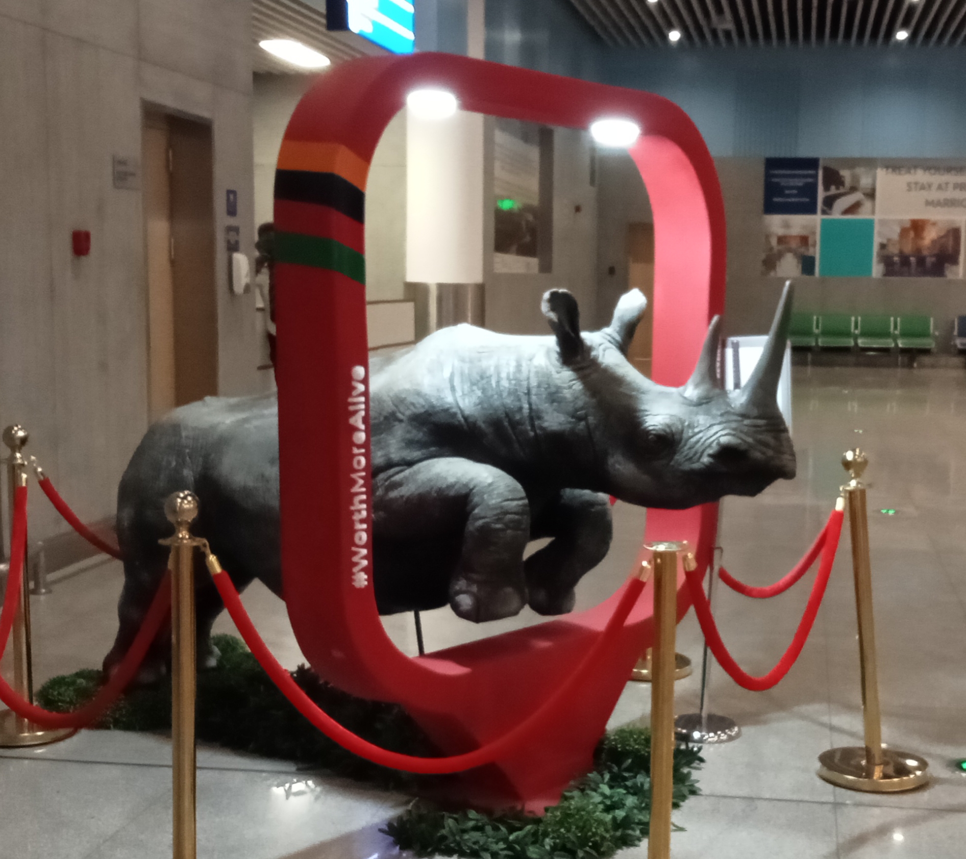 В аэропорту Лусаки - скульптура носорога - IMG_20221022_214858.jpg
