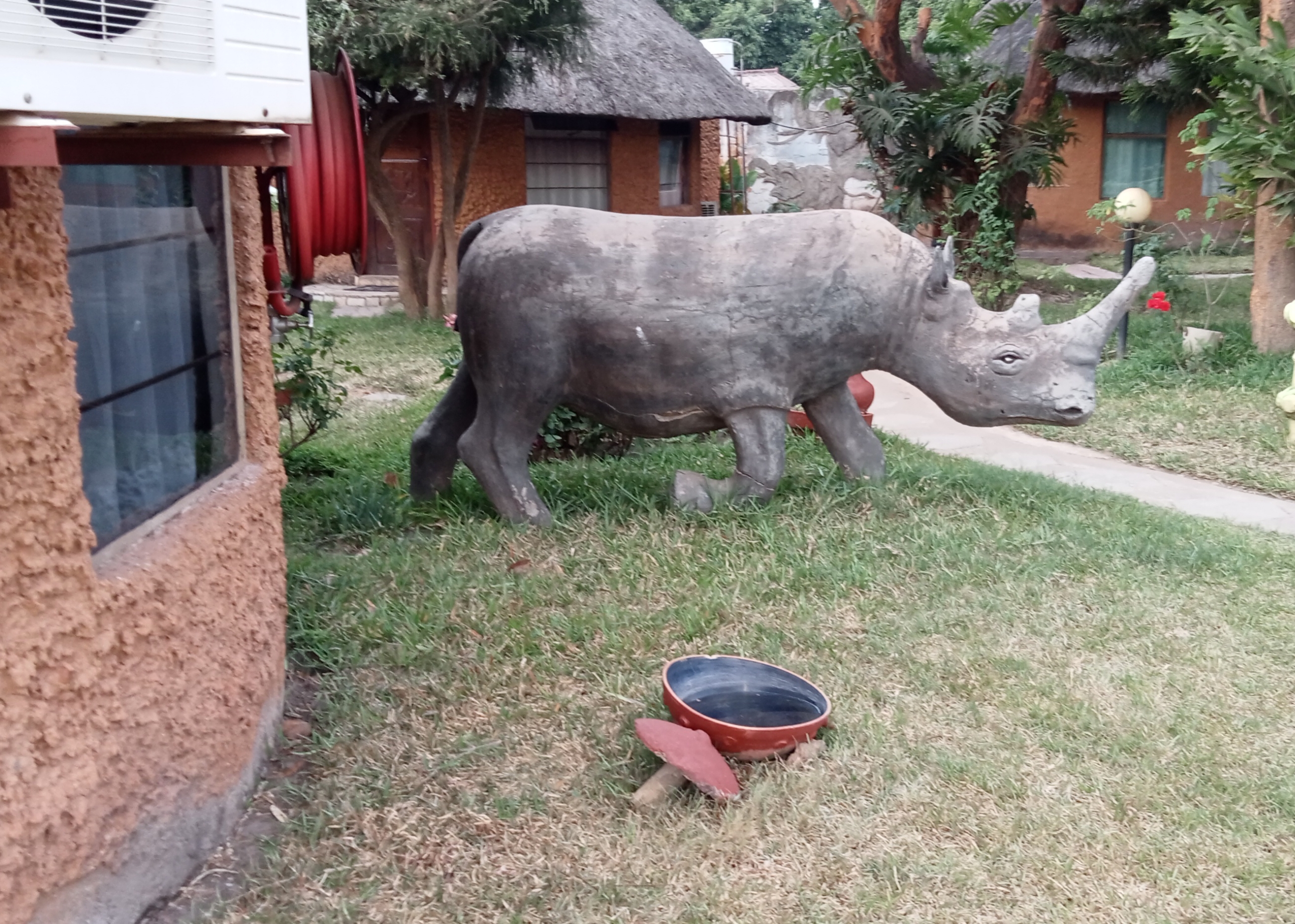 Носорог - символ Замбии - IMG_20221023_181820.jpg