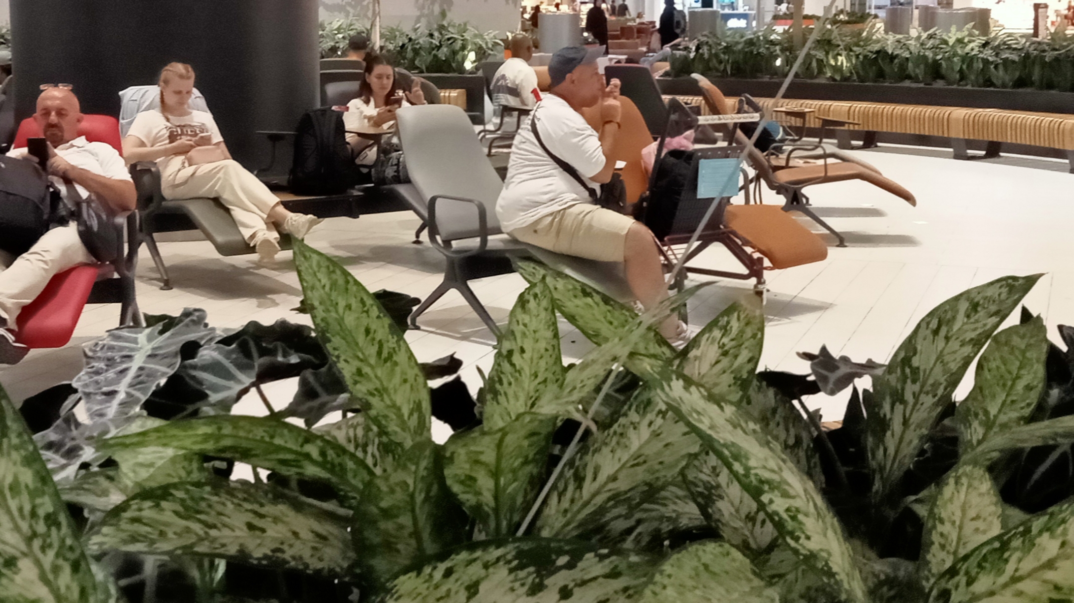 . В холе аэропорта Стамбула - IMG_20240724_221951.jpg