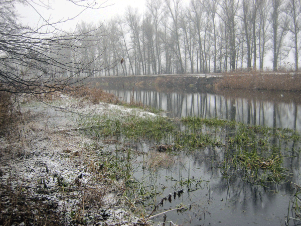 Река Северский Донец 1  - IMG_0031b.gif