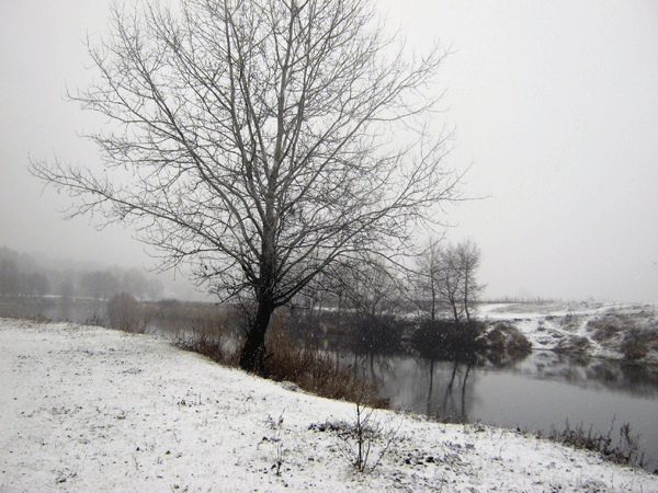 Река Северский Донец 2  - IMG_0038b.gif