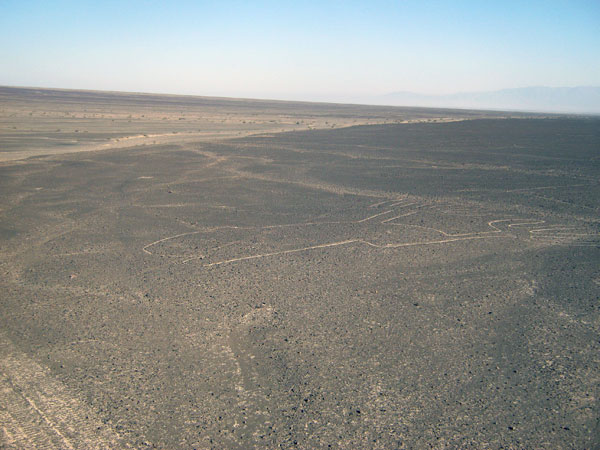 Пустыня Наска рисунок - уменьшенная копия оригинала  - 4-2b_IMG_3813.jpg