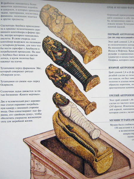 Антропоидные гробы для мумии Тутанхамона - 40_IMG_2941b.jpg