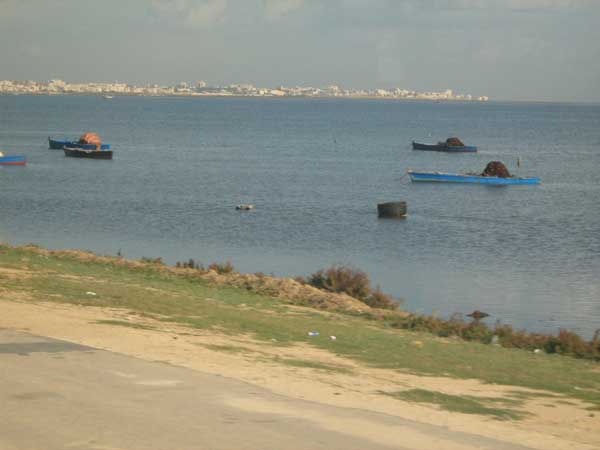 Тунис 2008, проба автостопа - 39_Рыбацкие-лодки-20081106_.jpg