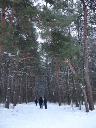 Фото И.Громовой - В лесах Северного Донбасса.jpg